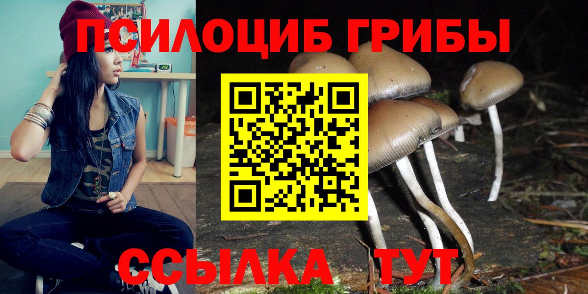 Псилоцибиновые грибы ЛСД  Вход с VPN  Ногинск 