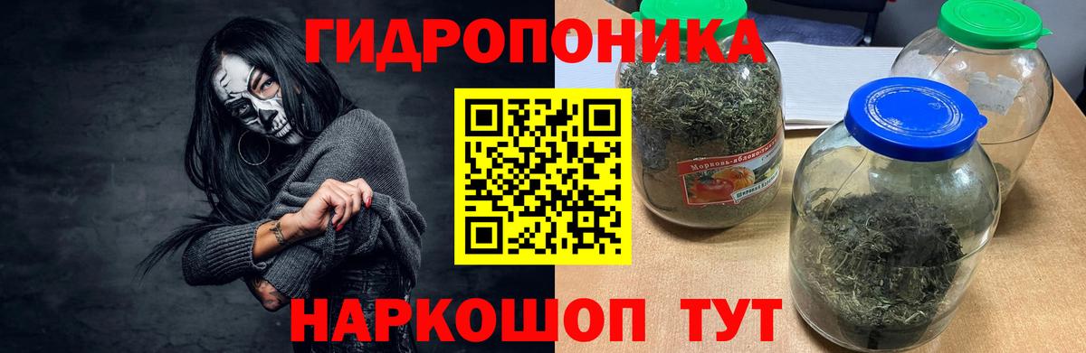 Бошки Шишки OG Kush  Канабис Bruce Banner  Вход с VPN  Бошки марихуана OG Kush  Ногинск  Бошки марихуана AK-47 